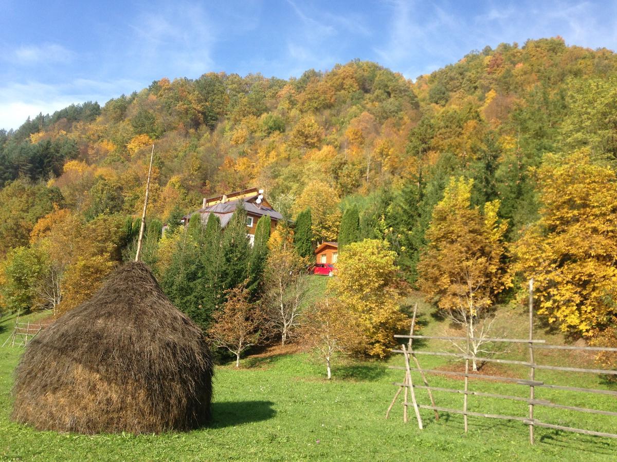 Vila Flora Viseu De Jos Luaran gambar