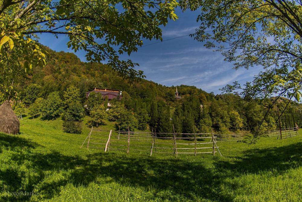 Vila Flora Viseu De Jos Luaran gambar