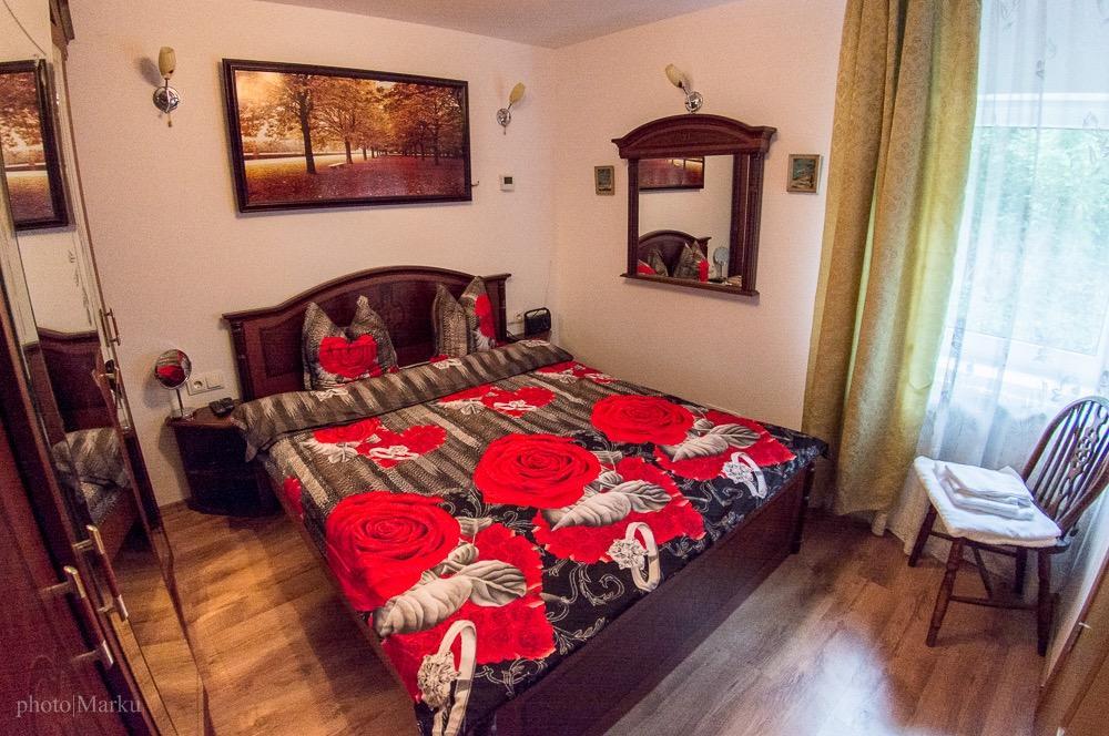Vila Flora Viseu De Jos Luaran gambar